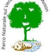 Logo_Parco_Muson-0.615386863814015.jpg